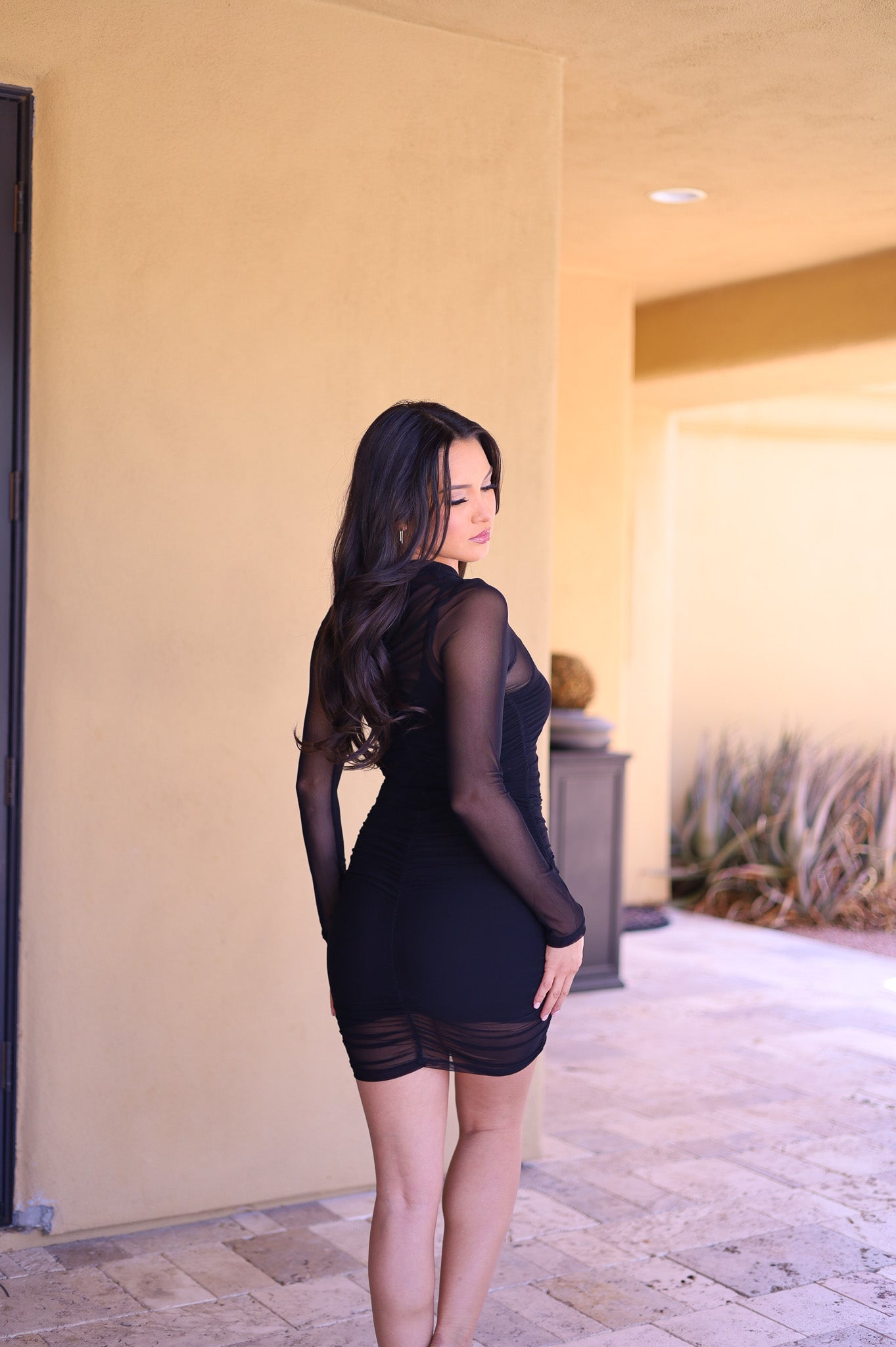 Black - Mesh Bodycon Dress