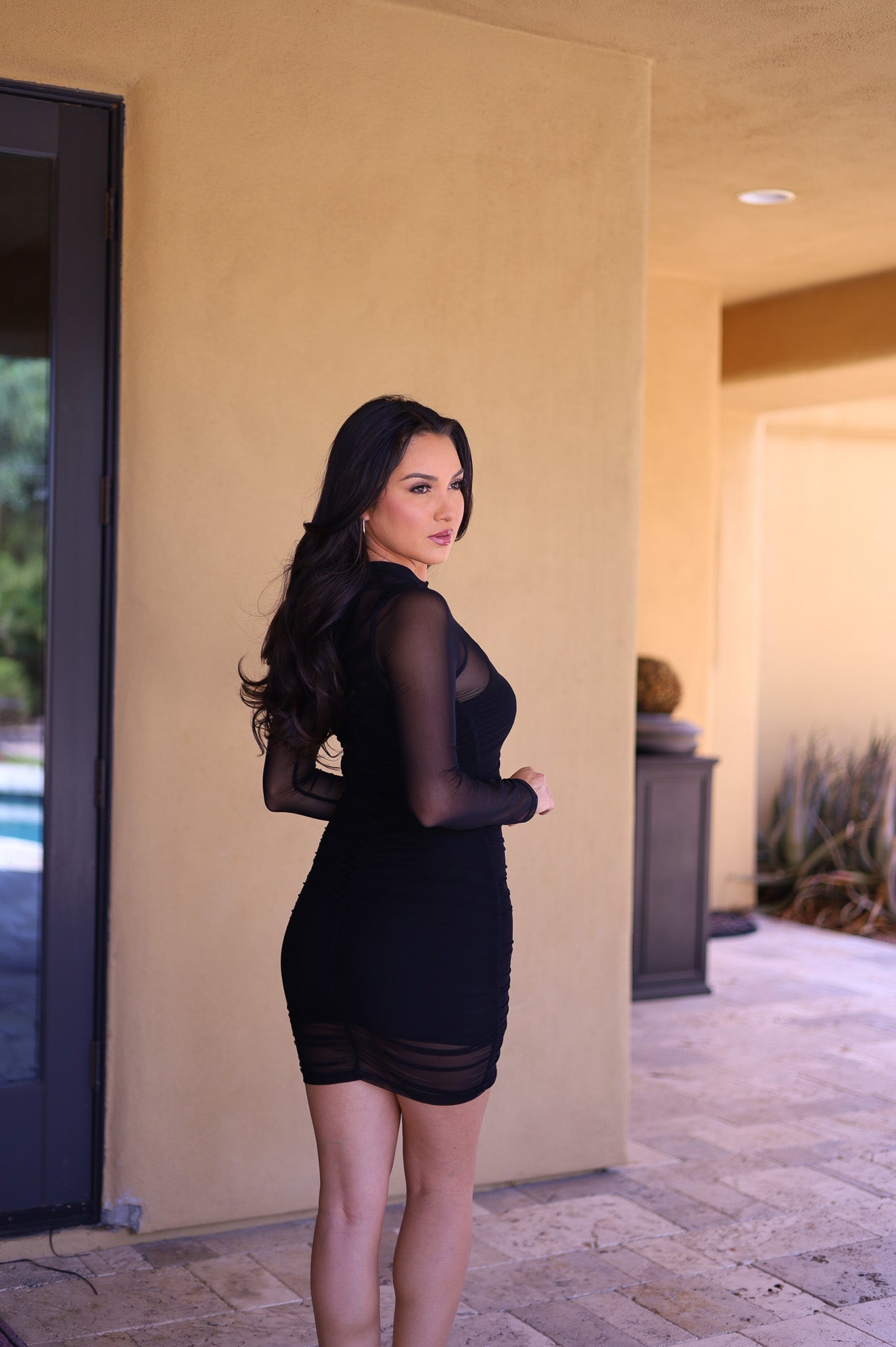 Black - Mesh Bodycon Dress